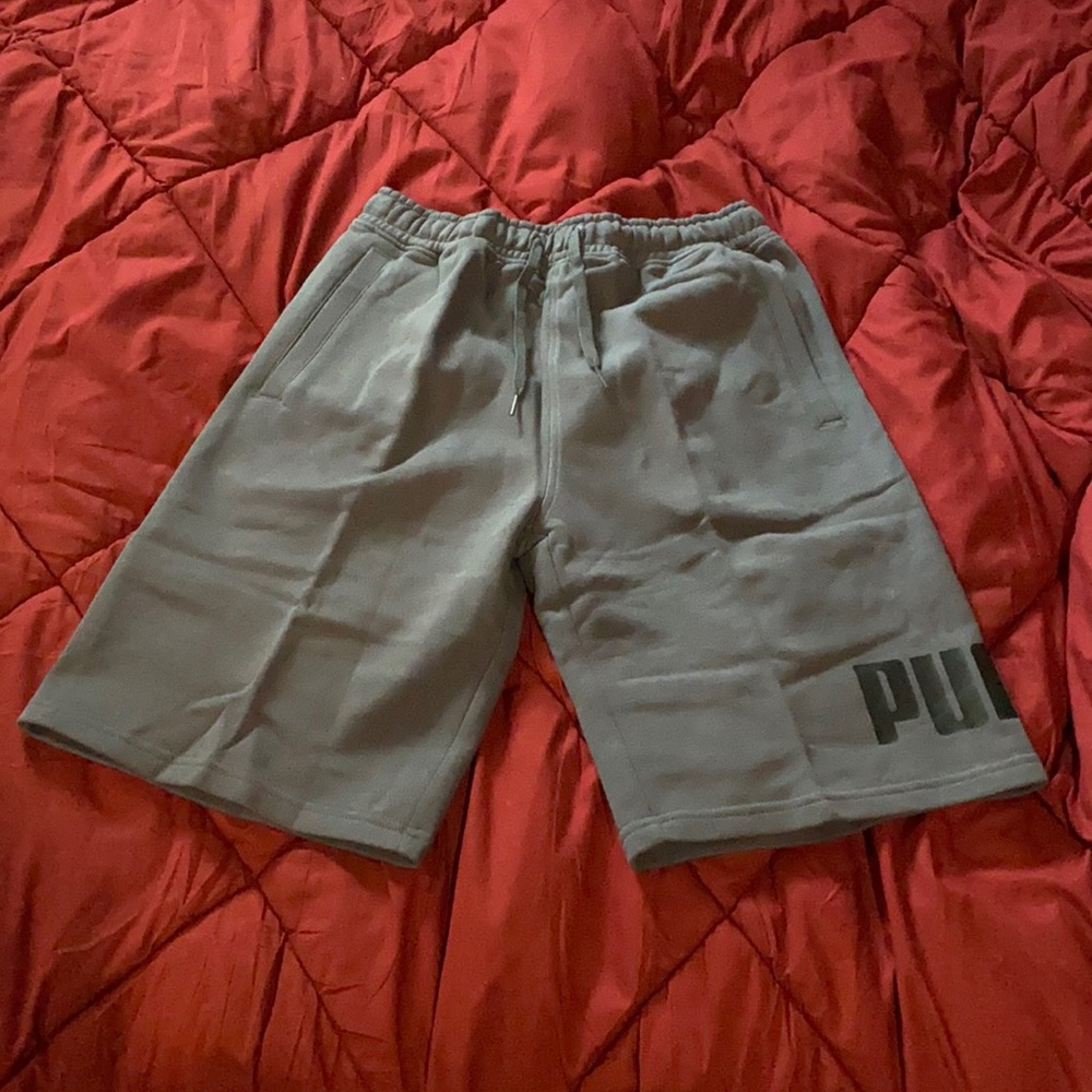 Puma Big Fleece Logo Shorts Asphalt